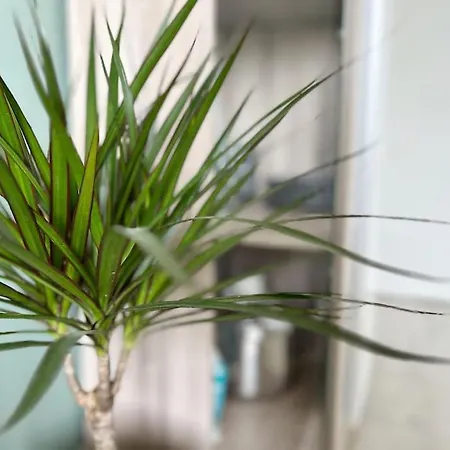 Apartment Green